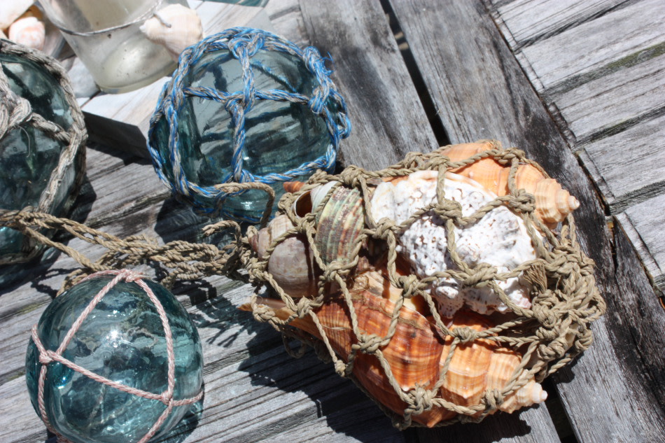 Seashell Assortment In Coastal Net Bag - Coastal Living Seashell Assortment In Coastal Net Bag - Coastal Living